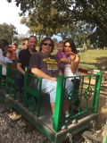 Zilker train