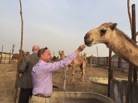 Feed the Camels