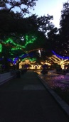 Zoo Lights