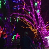 Zoo Lights