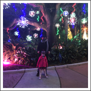 Zoo Lights