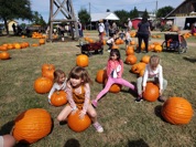 Pumpkin Patch