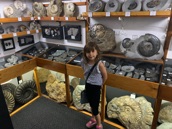 Fossil Heaven